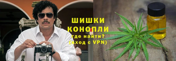шишки Балахна