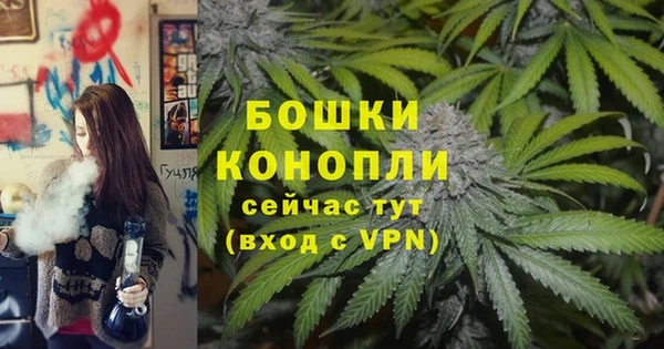 шишки Балахна