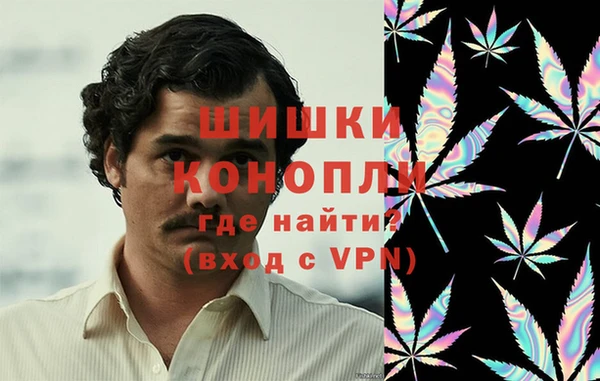 шишки Балахна