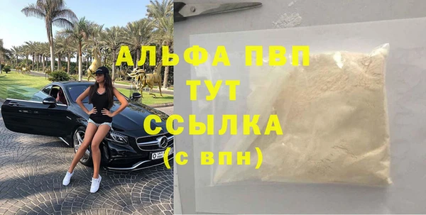 индика Аркадак